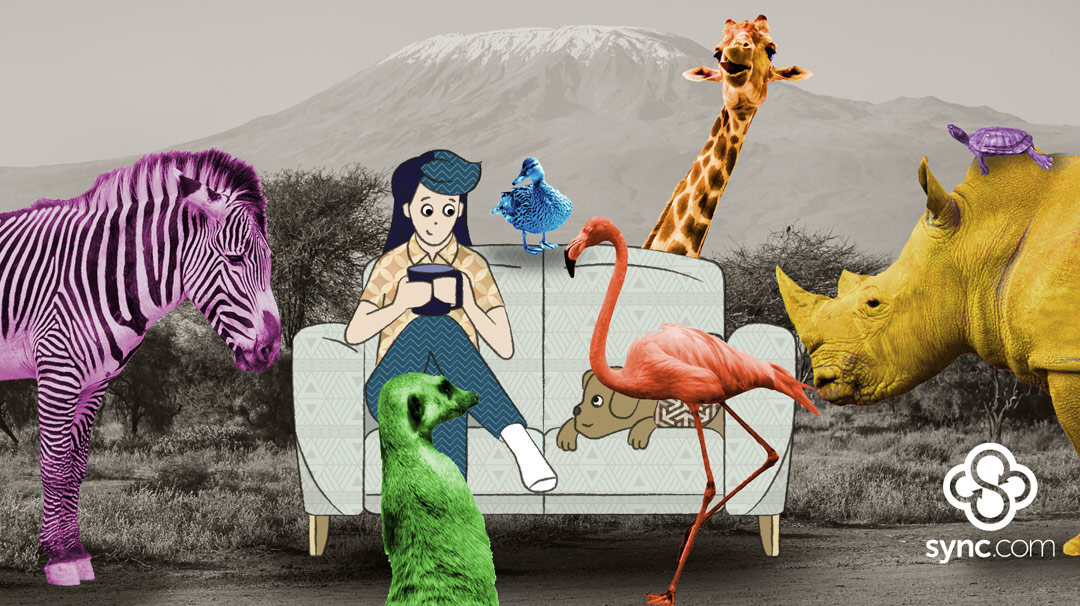 What iconic content creators do