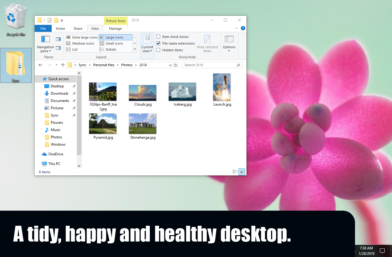 file-organization-happy